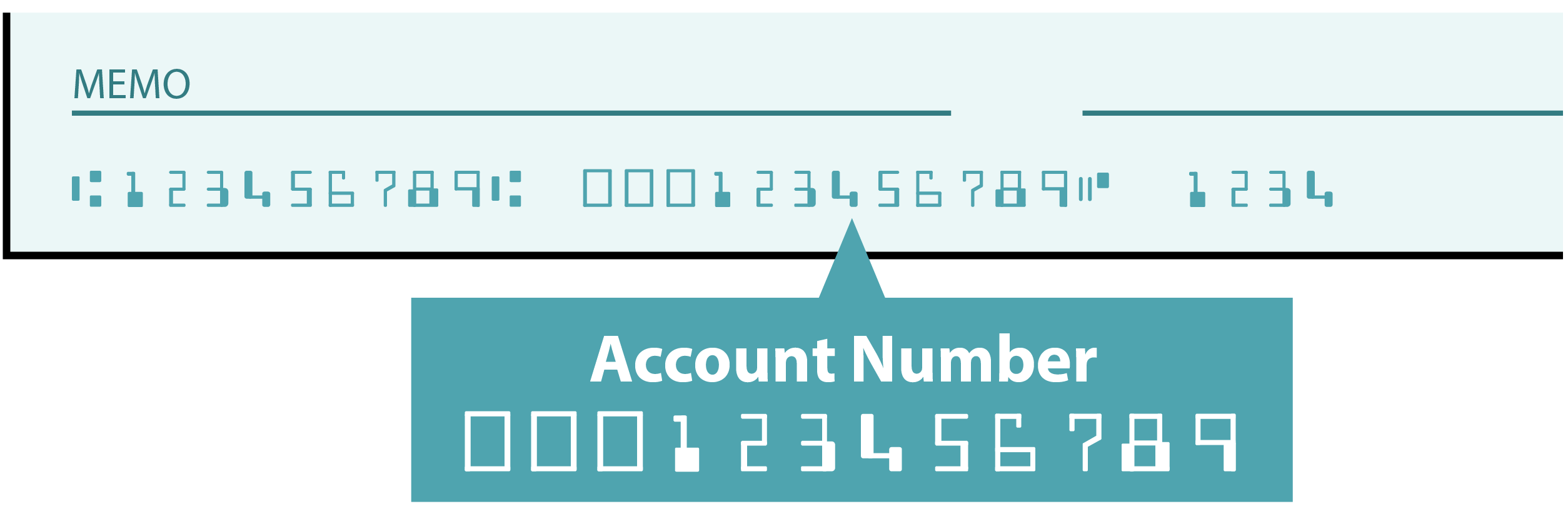 Account Number